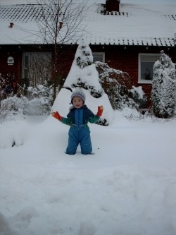 Daji in the snow - January 2003