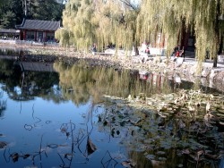 Peaceful setting in the Summer Palace