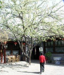 Inner courtyard at the Hao Yuan Hotel